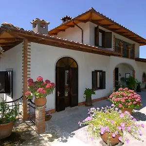 Acero Manciano